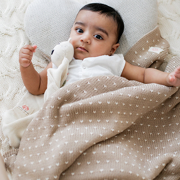 Dainty Dots Organic Cotton Baby Blanket and Lovie Set