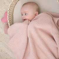 Honey Bee Organic Cotton Baby Blanket and Teddy Lovie Set